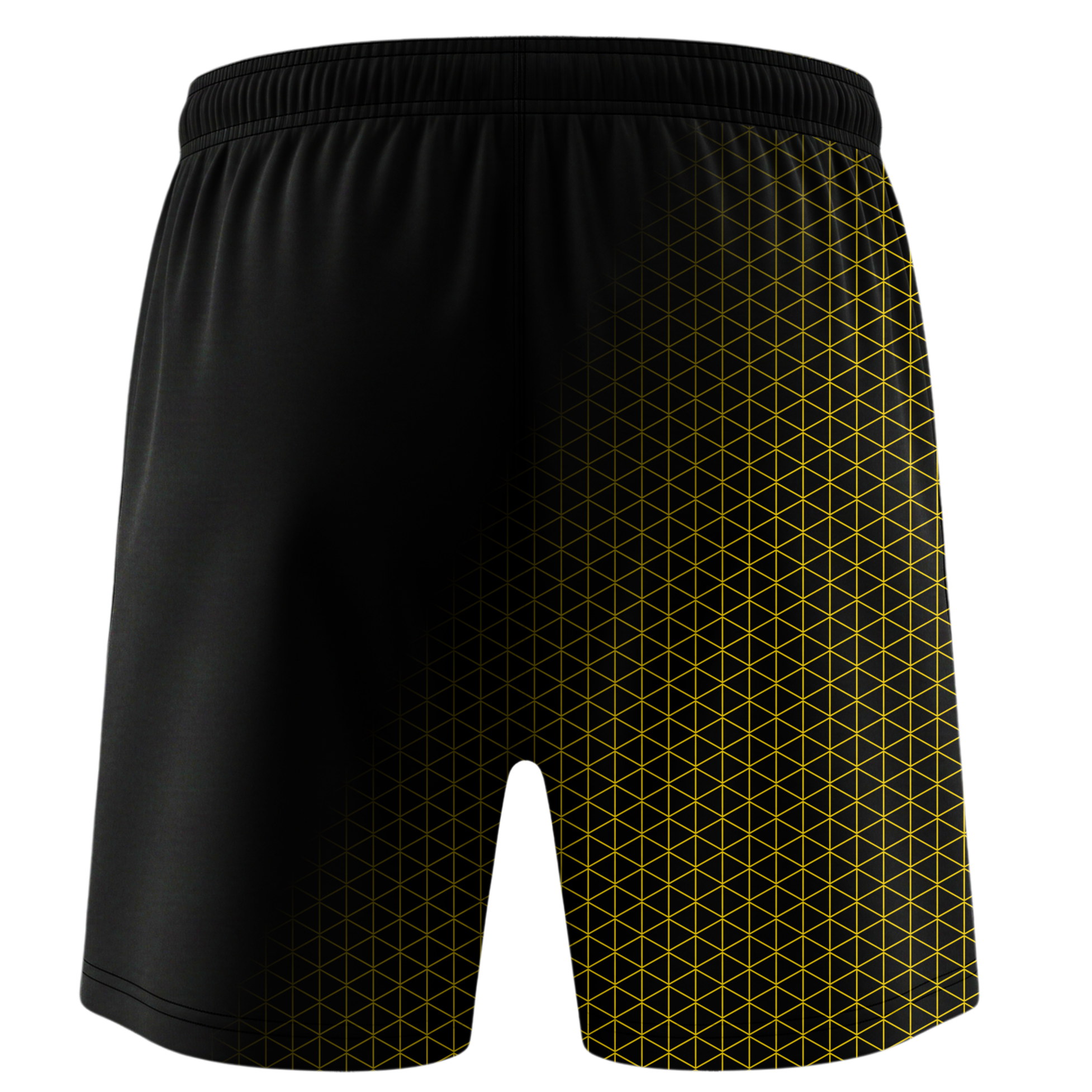 Hexline Fight Shorts